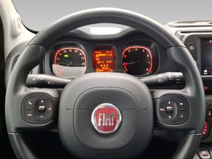 Fiat Panda City Life Hybrid 1.0 Gse 51kw (70CV)  - Foto 16