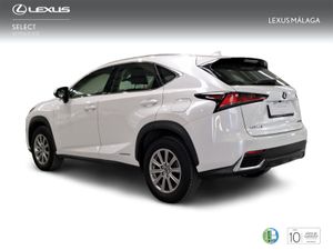 Lexus NX 2.5 300h Business Navigation 2WD  - Foto 3