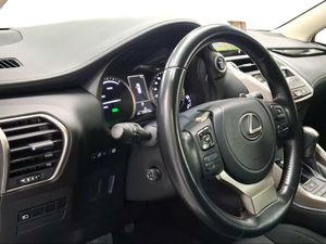 Lexus NX 2.5 300h Business Navigation 2WD  - Foto 17