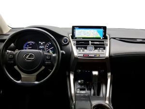 Lexus NX 2.5 300h Business Navigation 2WD  - Foto 9