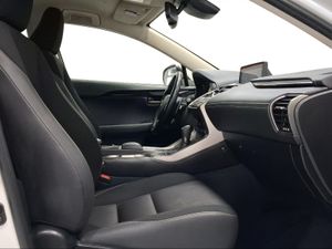 Lexus NX 2.5 300h Business Navigation 2WD  - Foto 7