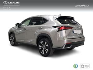Lexus NX 2.5 300h Premium 2WD  - Foto 3