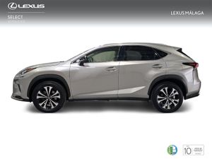 Lexus NX 2.5 300h Premium 2WD  - Foto 4