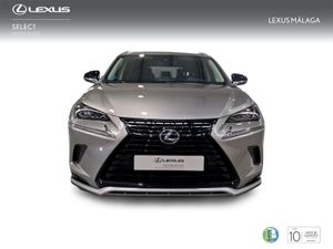 Lexus NX 2.5 300h Premium 2WD  - Foto 6