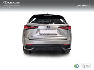 Lexus NX 2.5 300h Premium 2WD  - Foto 5