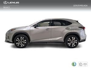 Lexus NX 2.5 300h Premium 2WD  - Foto 4