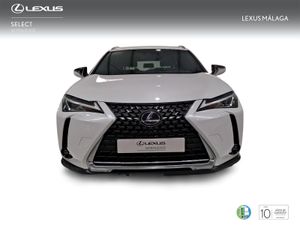 Lexus UX 2.0 250h Business Navigation  - Foto 6