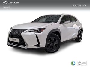 Lexus UX 2.0 250h Business Navigation  - Foto 2