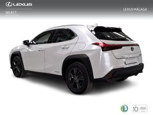 Lexus UX 2.0 250h Business Navigation  - Foto 3