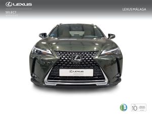 Lexus UX 2.0 250h Business  - Foto 6