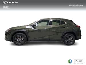 Lexus UX 2.0 250h Business  - Foto 4