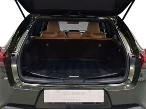 Lexus UX 2.0 250h Business  - Foto 10