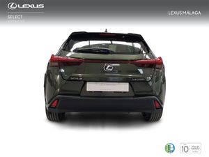 Lexus UX 2.0 250h Business  - Foto 5