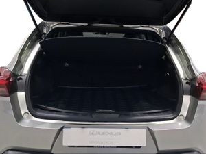 Lexus UX 2.0 250h Business  - Foto 10