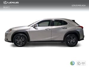 Lexus UX 2.0 250h Business  - Foto 4