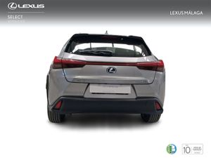 Lexus UX 2.0 250h Business  - Foto 5