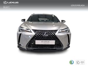 Lexus UX 2.0 250h Business  - Foto 6