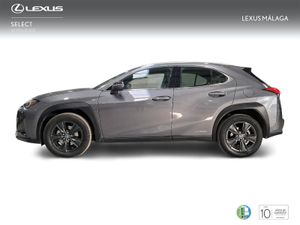 Lexus UX 2.0 250h Business  - Foto 4