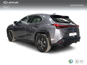 Lexus UX 2.0 250h Business  - Foto 3