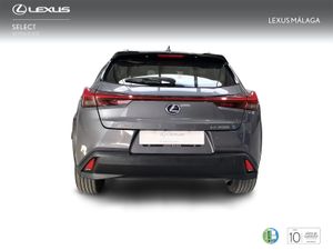 Lexus UX 2.0 250h Business  - Foto 5