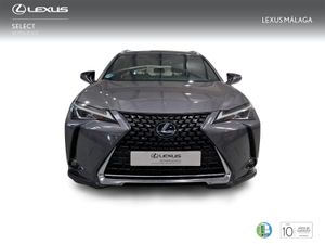 Lexus UX 2.0 250h Business  - Foto 6