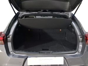 Lexus UX 2.0 250h Business  - Foto 10