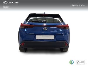 Lexus UX 2.0 250h Business  - Foto 5