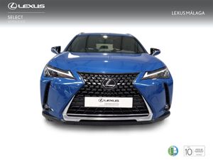 Lexus UX 2.0 250h Business  - Foto 6
