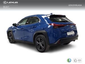 Lexus UX 2.0 250h Business  - Foto 3