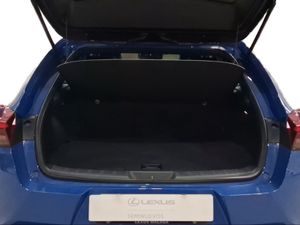 Lexus UX 2.0 250h Business  - Foto 10