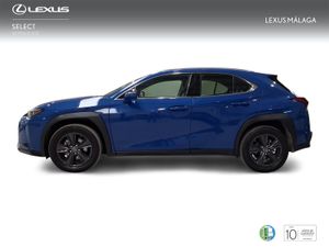 Lexus UX 2.0 250h Business  - Foto 4