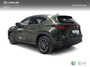 Lexus NX 450h+ Executive 4WD  - Foto 3