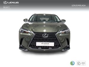 Lexus NX 450h+ Executive 4WD  - Foto 6