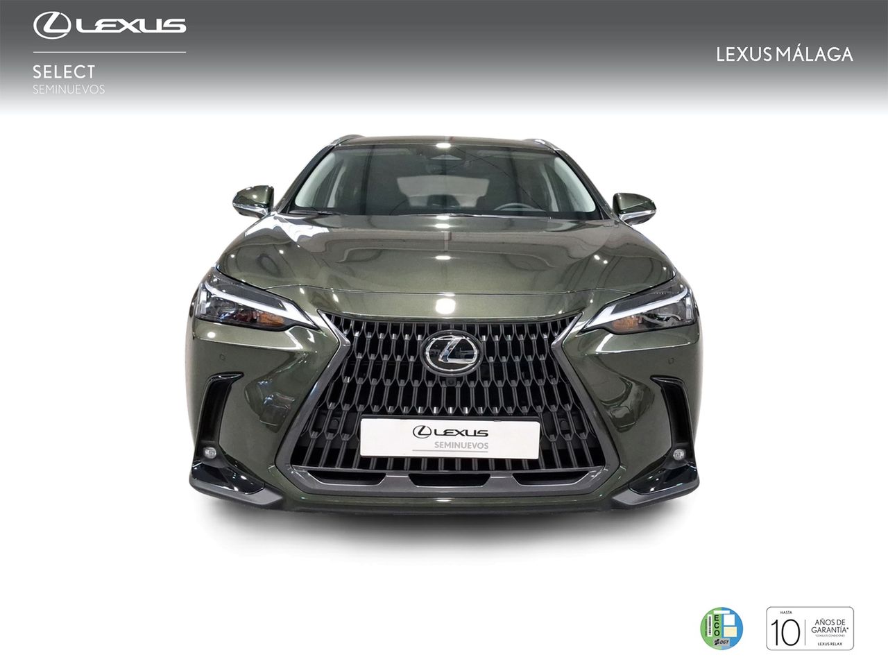 Lexus NX 450h+ Executive 4WD  - Foto 6