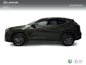 Lexus NX 450h+ Executive 4WD  - Foto 4