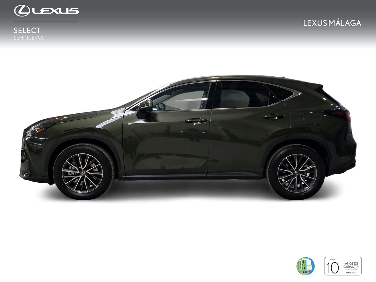 Lexus NX 450h+ Executive 4WD  - Foto 4