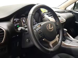 Lexus NX 2.5 300h Business Navigation 2WD  - Foto 15