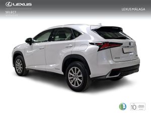 Lexus NX 2.5 300h Business Navigation 2WD  - Foto 3