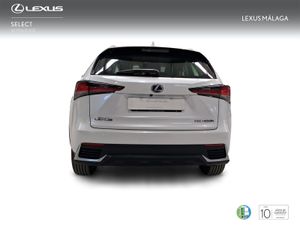 Lexus NX 2.5 300h Business Navigation 2WD  - Foto 5