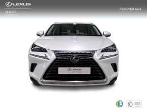 Lexus NX 2.5 300h Business Navigation 2WD  - Foto 6