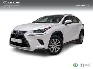 Lexus NX 2.5 300h Business Navigation 2WD  - Foto 2