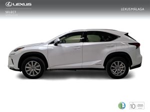 Lexus NX 2.5 300h Business Navigation 2WD  - Foto 4
