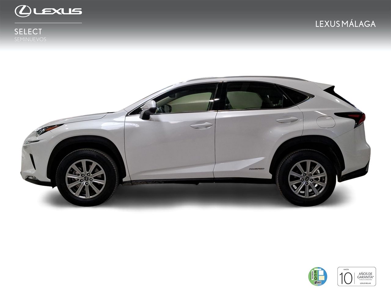 Lexus NX 2.5 300h Business Navigation 2WD  - Foto 4