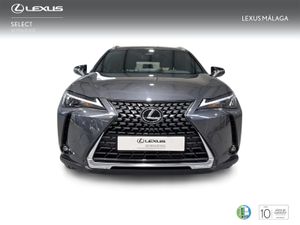 Lexus UX 2.0 300h UX Plus  - Foto 6