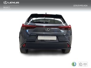 Lexus UX 2.0 300h UX Plus  - Foto 5