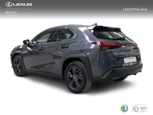 Lexus UX 2.0 300h UX Plus  - Foto 3