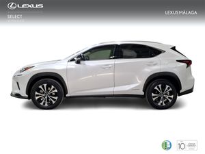 Lexus NX 2.5 300h Premium 2WD  - Foto 4