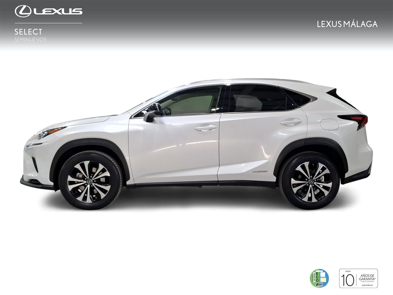 Lexus NX 2.5 300h Premium 2WD  - Foto 4