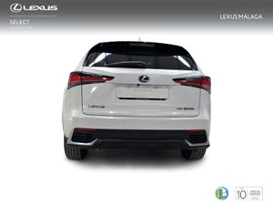 Lexus NX 2.5 300h Premium 2WD  - Foto 5