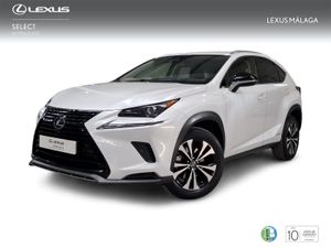 Lexus NX 2.5 300h Premium 2WD  - Foto 2